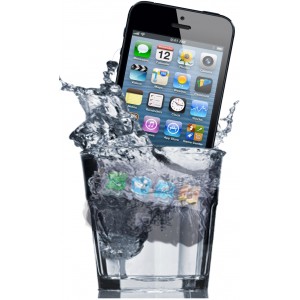Phone in a glass of water?
